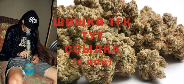 дмт Арсеньев