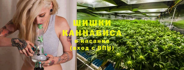 дмт Арсеньев