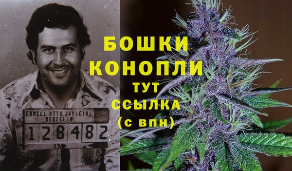 дмт Арсеньев
