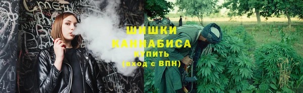 дмт Арсеньев